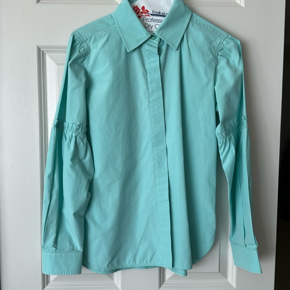 Max mara dress blouse